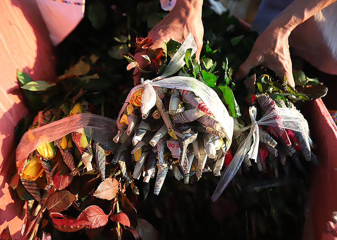 Người dân Tây Tựu thu hoạch hoa phục vụ 8/3